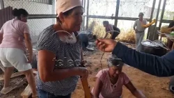 AA.HH. LA NATIVIDAD CELEBRA SU CIERRE DE SU PATRONA Y ANIVERSARIO.