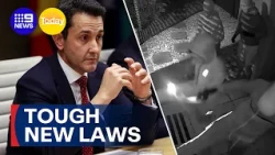 "Breach bail, go to jail" laws to be introduced to parliament | 9 News Australia