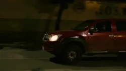 Semana de la movilidad