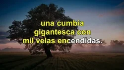 Karaoke - Fantasia nocturna