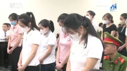 Sentencing of 19 Defendants in Herbitech Counterfeit Food Case | TayNinhTV