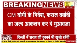 CM योगी के निर्देश, फसल बर्बादी का जल्द आकलन कर दें मुआवजा : ANB NEWS