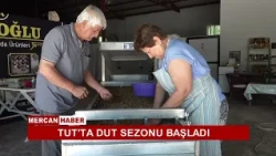 TUT’TA DUT SEZONU BAŞLADI