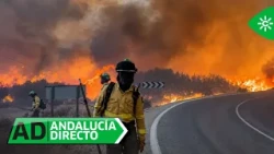Andalucía Direct | Friday, July 10