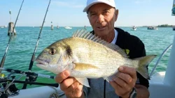 How to fish for gilt-head bream in the Venetian Lagoon (Tubertini)