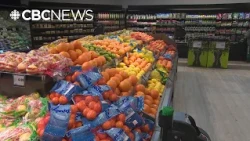 Downtown grocery store eyed for former Saskatoon newspaper building