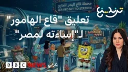 تعليق صفحة "قاع الهامور" عقب انتقادات بـ "تشويه صورة مصر"
