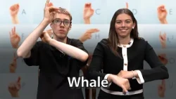 Learn to Sign with Noah Carr on CHCO-TV: Whale