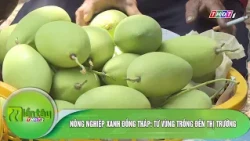 12-Month Crop Scheduling