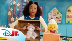 Help Megan Guess What's in the Wonderbox! 🐱🧁 | Megan and Cupcake Shorts | Disney Jr.