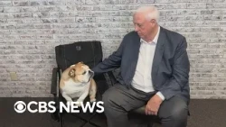 Sen. Jim Justice and Babydog mark National Dog Day
