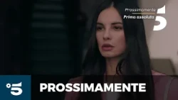 Viola come il mare 3 - Prossimamente, su Canale 5