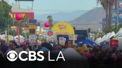 Crowds flood Crenshaw Boulevard for 21st annual Taste of Soul Festival