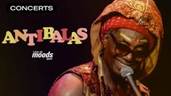 Antibalas - Hook & Crook | Live at Moods