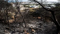 Tunisia records 900 fires in 72-hour window during intense heatwave