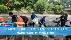 PEMKOT BOGOR TEMUKAN SEBARAN IKAN SAPU-SAPU DI TIGA TITIK || BERANDA NUSANTARA