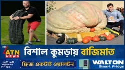 সুইজারল্যান্ডে সেরা কুমড়ার ওজন ছয়শ কিলোরওবেশি! | Swiss Giant Pumpkin | ATN News