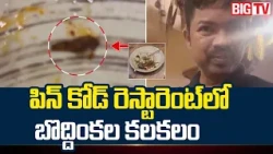 పిన్ కోడ్ రెస్టారెంట్ లో బొద్దింకల కలకలం | Begumpet Pincode Hotel | Yatri Nivas | BIG TV