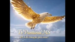 VINHETA 12 ANO 2026