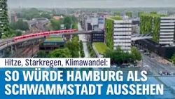 Die Zukunft der Stadtplanung? Warum Hamburg auf das Schwammstadt-Konzept setzt | NDR Info