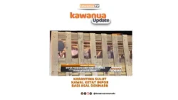 Karantina Sulut Kawal Ketat Impor Perdana Ratusan Bibit Babi Asal Denmark