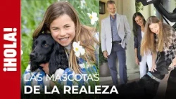 From Leonor and Sofia’s Labrador to the Prince and Princess of Wales' dogs: Royal pets