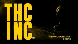 What Happens When Marijuana Goes Legal? | THC, Inc. | FULL DOCUMENTARY
