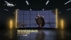 ComingUp PLUS Das Waisenhaus Fur Wilde Tier 18 HEUTE 2100 AR