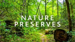 50 Years of Kentucky’s Nature Preserves