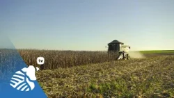 Soybean development is just beginning, but we're already looking ahead to corn | PTV #482