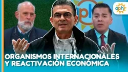 Interview with Economist Guido Capra | International Organizations and Economic Recovery | APH