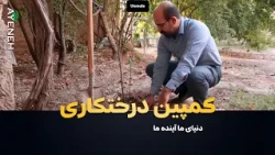 کمپین درختکاری بنیاد آینه - دنیای ما آینده ما