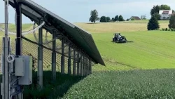 Agri-PV salva i campi europei e guida verso pannelli solari sostenibili