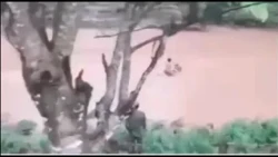Momento exacto donde el joven es arrastrado por la fuerte corriente del rio Patuca.