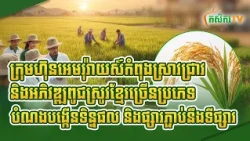 ក្រុមហ៊ុនអេមរុរ៉ាយស៍កំពុងស្រាវជ្រាវ និងអភិវឌ្ឍពូជស្រូវខ្មែរច្រើនប្រភេទ - បំណងបង្កើនទិន្នផល