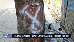 Pemotor Tewas Tabrak Pohon dalam Kecelakaan Tunggal