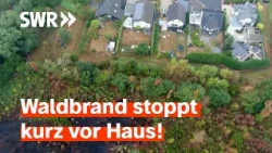 Immer mehr Waldbrände - Die Bedrohung wächst | Zur Sache! Rheinland-Pfalz