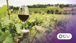 Lebanese Production: A Wine Exhibition in Ain El Jadida to Support National Industry