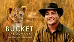 Bucket The Lion Cub - Trailer