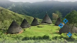 Musalaki Traditional House: Unique Wind-Resistant Architecture in Ende