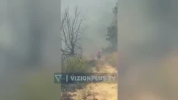 Zjarr në Mallakastër, digjet një sipërfaqe e konsiderueshme me pisha e ullinj - Vizion Plus