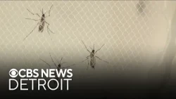 West Nile virus confirmed in Wayne County resident