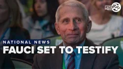 Fauci set to testify as Senate panel zeroes in on newly released private diary