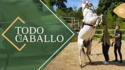 TodoCaballo | David Chaves turns equestrian high school into a grand spectacle from Ronda