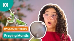 Is that insect...GRUMPY?! 🦗😠| Gardening Australia Junior | ABC Kids