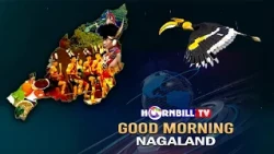 MORNING PULSE II 17th OCTOBER  2026 II HORNBILL TV