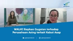 Kabut Asap Lintas Negara, WALHI Bidik Perusahaan Malaysia dan Singapura | Nusantara Kini