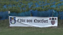 Spotlight on the 7th Vineyard Festival in Querfurt