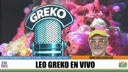 Leo Greco con K (09-10-26)