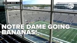 Batter up! Savannah Bananas coming to Notre Dame Stadium next June